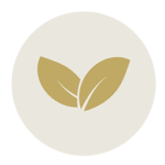 two-leaves